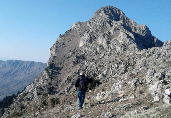 ΑΝΑΒΑΣΗ ΣΤΟ ΑΡΤΕΜΙΣΙΟ