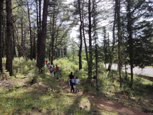 &Pi;&Epsilon;&Rho;&Iota;&Pi;&Alpha;&Tau;&Omicron;&Sigma; &Sigma;&Tau;&Omicron; &Alpha;&Lambda;&Sigma;&Omicron;&Sigma; &Pi;&Alpha;&Nu;&Alpha;&Rho;&Kappa;&Alpha;&Delta;&Omega;&Nu; &Mu;&Epsilon; &Tau;&Omicron;&Upsilon;&Sigma; &Omicron;&Phi;&Epsilon;&Lambda;&Omicron;&Upsilon;&Mu;&Epsilon;&Nu;&Omicron;&Upsilon;&Sigma; &Tau;&Omicron;&Upsilon; &Kappa;&Delta;&Alpha;&Pi; &Alpha;&Mu;&Epsilon;&Alpha; &Tau;&Omicron;&Upsilon; &Delta;&Eta;&Mu;&Omicron;&Upsilon; &Tau;&Rho;&Iota;&Pi;&Omicron;&Lambda;&Eta;&Sigma;