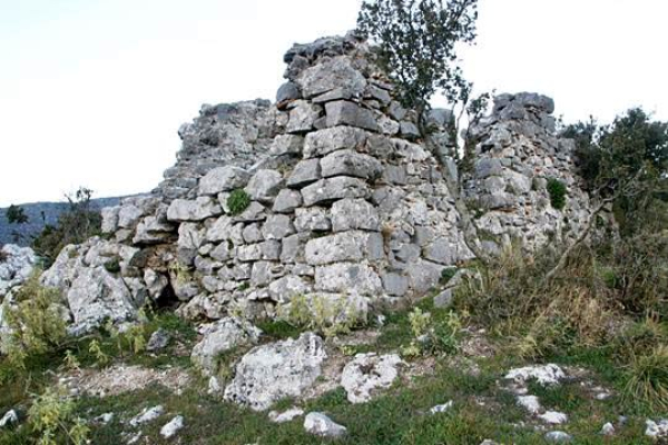 ΤΡΙΚΟΡΦΑ