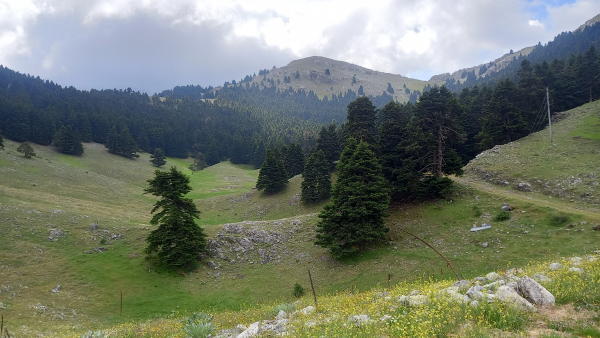 &Alpha;&Nu;&Alpha;&Beta;&Alpha;&Sigma;&Eta; &Sigma;&Tau;&Omicron; &Sigma;&Alpha;Ϊ&Tau;&Alpha; 1.812 m