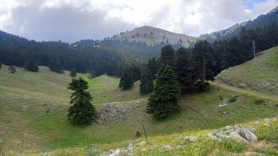 &Alpha;&Nu;&Alpha;&Beta;&Alpha;&Sigma;&Eta; &Sigma;&Tau;&Omicron; &Sigma;&Alpha;Ϊ&Tau;&Alpha; 1.812 m