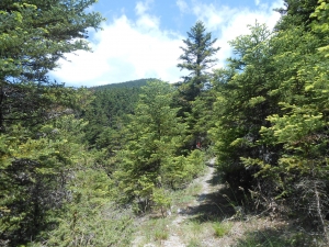 &Kappa;&Alpha;&Tau;&Alpha;&Phi;&Upsilon;&Gamma;&Iota;&Omicron; - &Lambda;&Epsilon;&Beta;&Iota;&Delta;&Iota;.