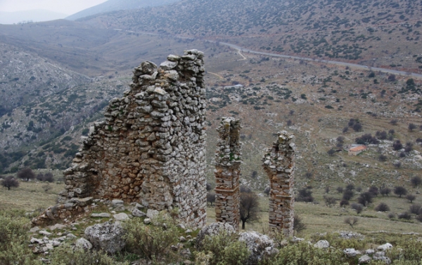 ΜΟΥΧΛΙ- ΑΧΛΑΔΟΚΑΜΠΟΣ