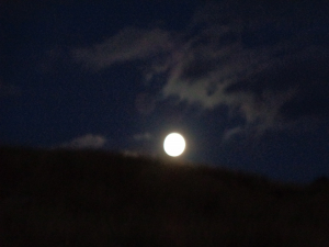 &Sigma;&Tau;&Eta;&Nu; &Omicron;&Sigma;&Tau;&Rho;&Alpha;&Kappa;&Iota;&Nu;&Alpha; &Mu;&Epsilon; &Phi;&Epsilon;&Gamma;&Gamma;&Alpha;&Rho;&Iota;