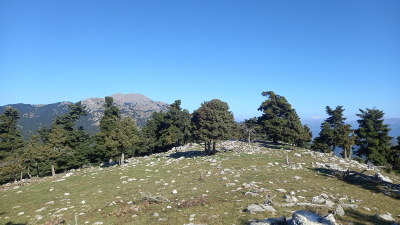 ΜΑΙΝΑΛΟ - ΚΟΥΛΟΥΡΔΟΥ (1.625μ)