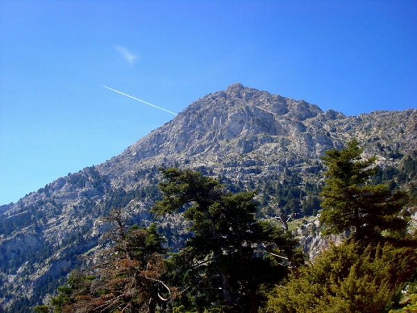 ΑΡΤΕΜΙΣΙΟ ΟΡΟΣ