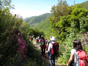 &Lambda;&Omicron;&Upsilon;&Sigma;&Iota;&Omicron;&Sigma;