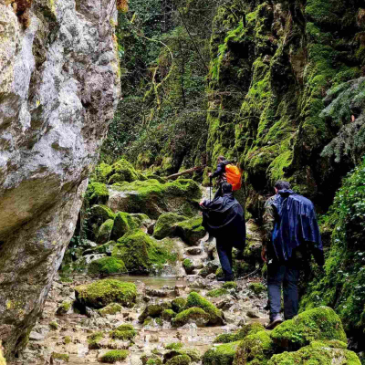 &Pi;&Iota;&Alpha;&Nu;&Alpha; - &Alpha;&Rho;&Kappa;&Omicron;&Upsilon;&Delta;&Omicron;&Rho;&Epsilon;&Mu;&Alpha; - &Lambda;&Iota;&Mu;&Pi;&Omicron;&Beta;&Iota;&Sigma;&Iota;