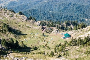 78&Eta; &Pi;&Alpha;&Nu;&Epsilon;&Lambda;&Lambda;&Eta;&Nu;&Iota;&Alpha; &Omicron;&Rho;&Epsilon;&Iota;&Beta;&Alpha;&Tau;&Iota;&Kappa;&Eta; &Sigma;&Upsilon;&Nu;&Alpha;&Nu;&Tau;&Eta;&Sigma;&Eta; - &Kappa;&Omicron;&Zeta;&Iota;&Alpha;&Kappa;&Alpha;&Sigma;