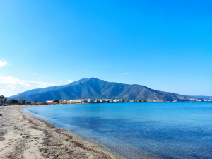 Ο ΕΟΣ ΤΡΙΠΟΛΗΣ ΣΤΗ ΖΑΒΙΤΣΑ