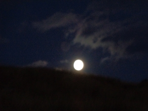 &Sigma;&Tau;&Eta;&Nu; &Omicron;&Sigma;&Tau;&Rho;&Alpha;&Kappa;&Iota;&Nu;&Alpha; &Mu;&Epsilon; &Phi;&Epsilon;&Gamma;&Gamma;&Alpha;&Rho;&Iota;