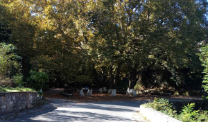 &Pi;&Epsilon;&Zeta;&Omicron;&Pi;&Omicron;&Rho;&Iota;&Alpha; &Sigma;&Tau;&Omicron; &Alpha;&Lambda;&Epsilon;&Pi;&Omicron;&Chi;&Omega;&Rho;&Iota;