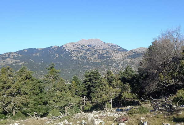 ΜΑΙΝΑΛΟ - ΑΙΝΤΙΝΗΣ (1849m)