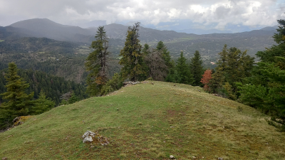 &Beta;&Alpha;&Lambda;&Tau;&Epsilon;&Sigma;&Iota;&Nu;&Iota;&Kappa;&Omicron; - &Lambda;&Alpha;&Gamma;&Kappa;&Alpha;&Delta;&Iota;&Alpha;