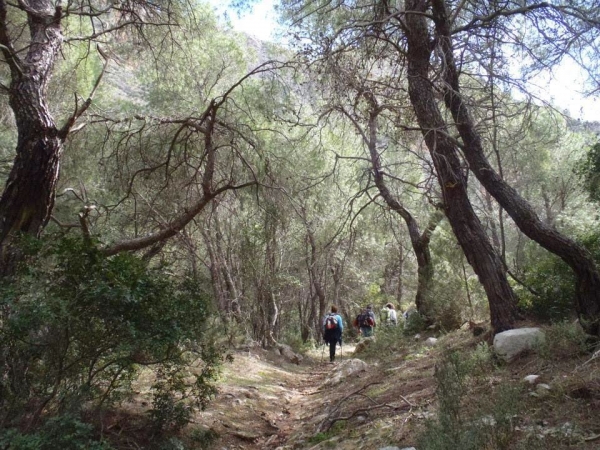 ΦΑΡΑΓΓΙ ΚΑΤΑΦΥΚΙ