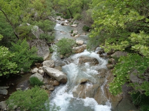 &Phi;&Alpha;&Rho;&Alpha;&Gamma;&Gamma;&Iota; &Lambda;&Omicron;&Upsilon;&Sigma;&Iota;&Omicron;&Upsilon;